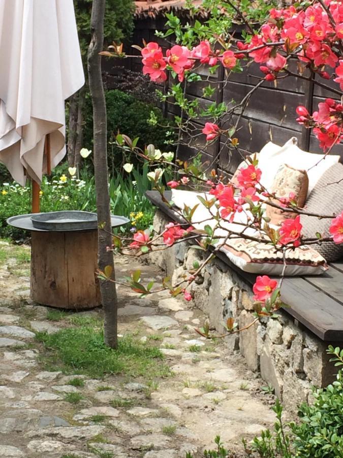 Darina Guest House Koprivshtitsa Exterior photo